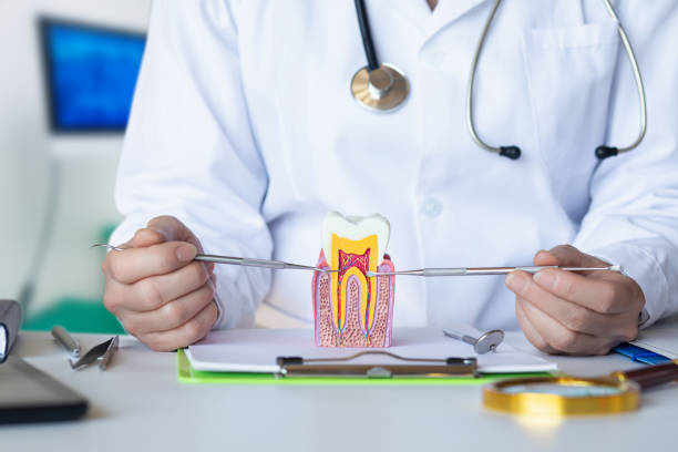 Best 24-Hour Emergency Dental Care in Mill Bay, AK